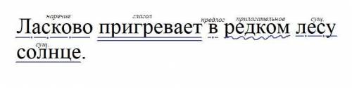 Ласково пригревает в редком лесу солнце. разбор предложения по членам