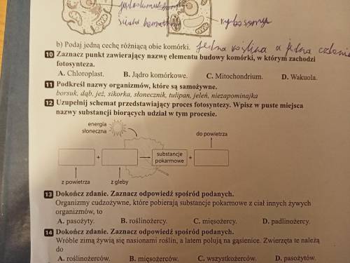 12 uzupełnij schemat przedstawiony proces fotosyntezy wpisz w puste miejsca nazwy substancji biorący