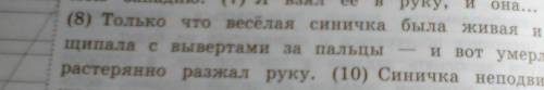 формы имен прила- все 13) Выпиши из 8-го предложения гательных с именами существительными, к которым