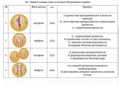 Укажите номера строк, в которых НЕ допущены ошибки.