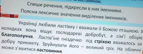 Із вправи на комп'ютері виписати усі іменники, розібрати їх як частину мови ( зробити морфологічний