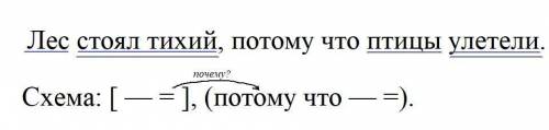 Синтаксический разбор Лес стоял тихий потому что птицы улетели