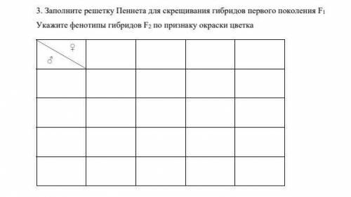 Как заполнить решётку Пеннета