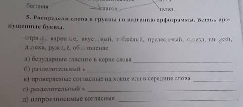 5. Распредели слова в группы по названию орфограммы. Вставь про- ущенные буквы. отря.., варен ... е,