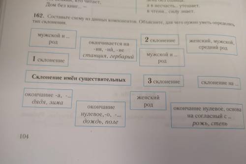 162. Составьте схему из данных компонентов. Объясните, для чего нужно уметь определять Тип склонения