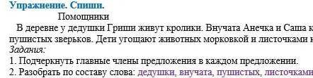 Упражнение. Спопши В деревне у дедушки Гриши живут кролики. Внучата Анечка и Саша кормят пушистых зв