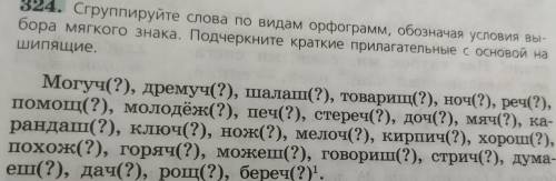 Виды орфограмм: Имена существительные на шипящие: Краткие имена прилагательные на шипящий: Глаголы н