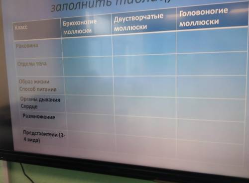 таблица про моллюсков я сделал раковина и отделы тела памагити очень сложно мне искать в инете в мое