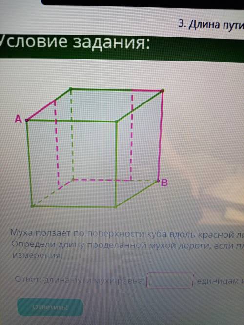 Муха ползает по поверхности куба вдоль красной линии от точки А к точке В. Определи длину проделанно