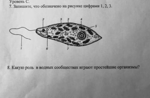 Кто сможет ответить на два вопроса(на фото).