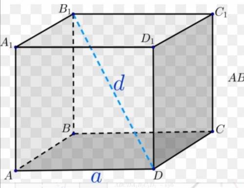 Чему равен угол BB1D. Фигура-куб, a любое число.