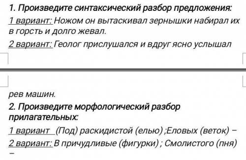 Контрольный диктант 6класс по имени прилагательного