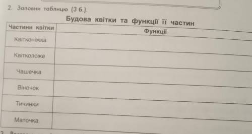 НАРОД ЭТО НЕ ШУТКА заповни таблицю будова квітки та функції частини, частини квітки: квітконіжка кві