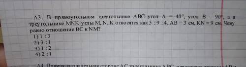 В прямоугольном треугольнике АБС угол а =40 градусов...