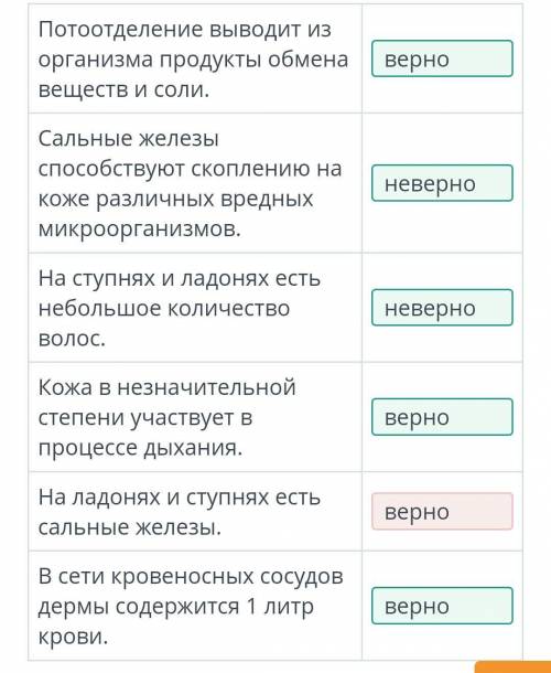 Значение кожи, строение и функции. Регуляция потоотделения. Определи из списка верные и неверные утв