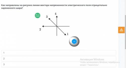 Как направлены на рисунке линии вектора напряженности электрического поля отрицательно от шара?