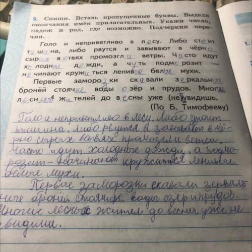 9. Спиши. Вставь пропущенные буквы. Выдели окончания имён прилагательных. Укажи число, падеж и род,