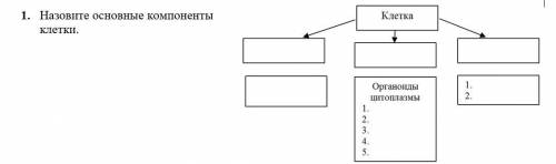 Назовите основные компоненты клетки.