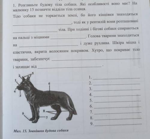 ‼‼ ‼ 17 раз‼тело собаки не надо,мне только 1 задание