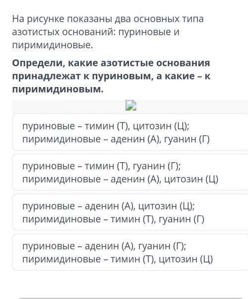 Определи, какие азотистые основания принадлежат к пуриновым, а какие-к пиримидиновым. пуриновые - ти