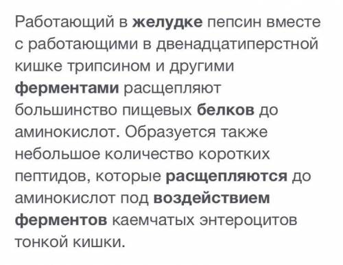 Белки в желудке расщепляются под действием фермента а) амилазыб) липазыв) пепсинаг) трипсина