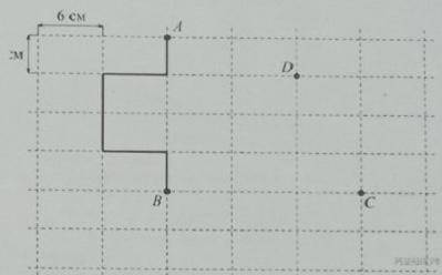Лист бумаги расчерчен на прямоугольники по сторонам 6 см и 4 см. От точки A к точке B проведена лома