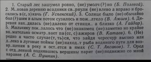 Переписать, объяснить орфограммы, найти грамматическую основу. Объяснить запятые.