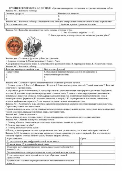 сделать , хотя бы пару заданий. Не нужно расписывать все, просто номер задания и ответ огромное!