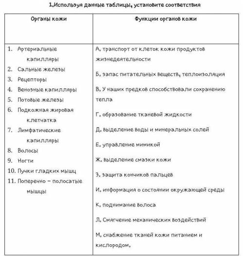 Таблицы установите соответствие органы кожи функции органов кожи