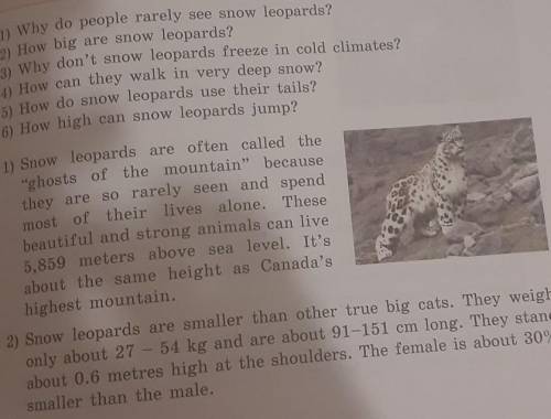 1) Why do people rarely see snow leopards? 2) How big are snow leopards?3) Why don't snow leopards f