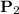 \mathbf{P}_{2}