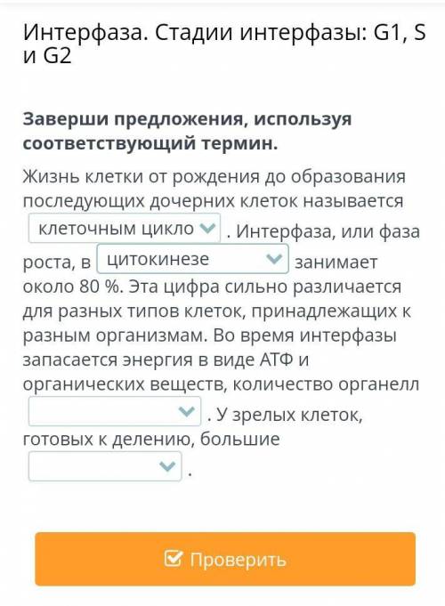 Интерфаза. Стадии интерфазы: G1, S и G2Заверши предложения, используя соответствующий термин.
