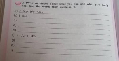 2. Write sentences about what you like and what you don't like. Use the words from exercise 1. a) I