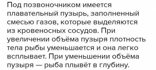 1. Нервная система рыб: А. состоит из головного и спинного мозга и отходящих от них нервов; Б. обр