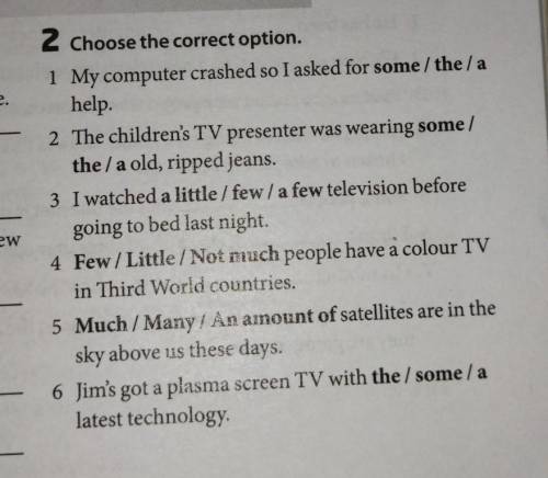 2 Choose the correct option. 1 My computer crashed so I asked for some /the/a help. 2 The children's