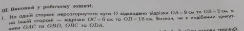 . Виконай у робочому зошиті. На одній стороні нерозгорнутого кута O відкладено відрізки OA = 9 см та