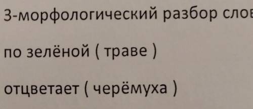 3-морфологический разбор слова по зелёной (траве ) отцветает (черёмуха )хелп