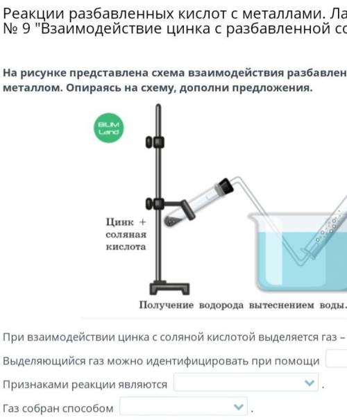 Реакции разбавленных кислот с металлами. Лабораторный опыт № 9 Взаимодействие цинка с разбавленной