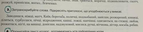 Добрий вечір! До іть, будь ласка, з вправою. Транскрипції з усіма позначками. Дякую.