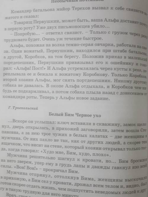 составить цитатный план текст необычный почтальон и белый бим черное ухо по 2 плана про эти два текс