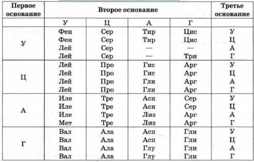 2.Ділянка молекули ДНК складається з такої послідовності нуклеотидів АГГ ЦГЦ TTT ATT АГА. Визначте я