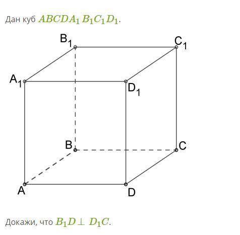 Геометрия.Дан куб ABCDA1B1C1D1Доказать, что B1D перпендикулярна D1C