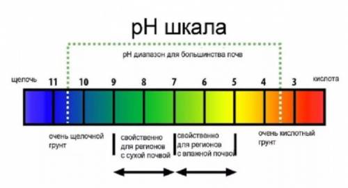 Что мы называем кислотами?Что мы называем щелочами?Как определить среду кислотности?