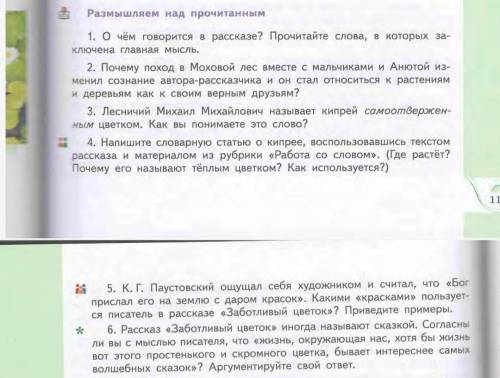 с вопросами по рассказу Заботливый цветок