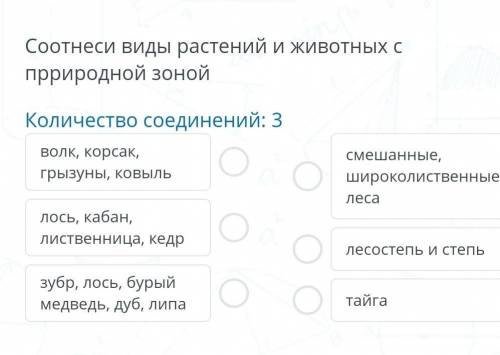 Соотнеси виды растений и животных с природной зоной