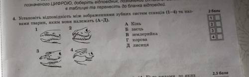 4. Установіть вiдповiднiсть мiж зображеннями зубних систем ссавців (1 - 4) та назвами тварин, яким в