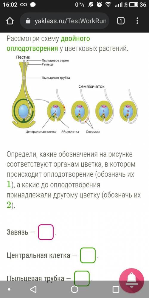 Здесь фото. ответу поставлю корону.