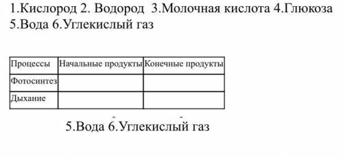 Начальные и конечные продукты дыхания и фотосинтеза