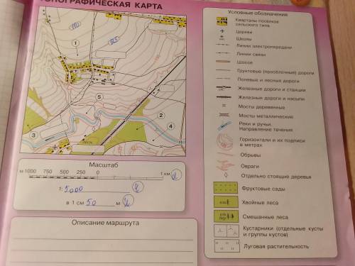 Условными знаками покажите на карте:1-фруктовые сады,2- смешанный лес,3- хвойный лес,4- отдельно сто