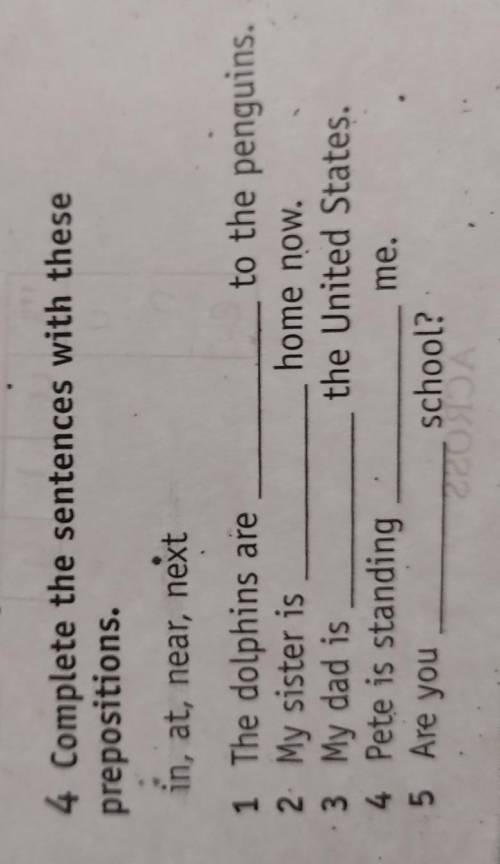 4 Complete the sentences with these prepositions. in, at, near, next 1 The dolphins are to the pengu